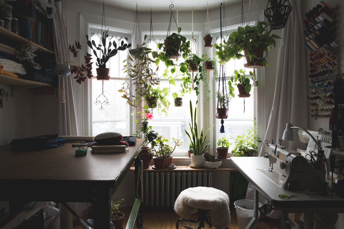 Sewing Tools & Notions