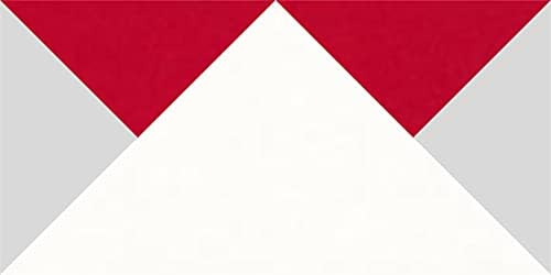 Bloc Loc Flying Geese Quilting Ruler 2 x 4 inch Finished, 2-1/2 x