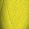 Plymouth Yarn - Encore Worsted - Sour Apple 150