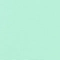 Robert Kaufman Fabrics Kona Cotton Julep Kona Cotton Color of The Year