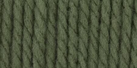 Bernat Softee Chunky Yarn (6-Pack) Forest 161128-28243