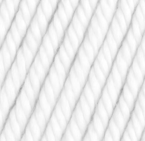 Big Twist Value Yarn 2-Pack Varsity Bundle-Varsity Red and White, 100%