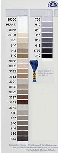 DMC 117-470 Six Stranded Cotton Embroidery Floss, Light Avocado Green
