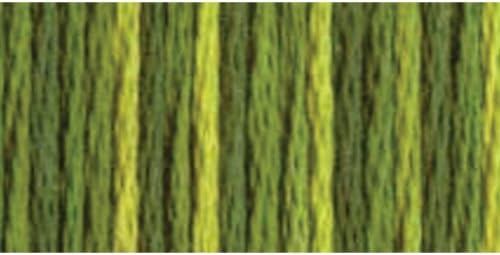 DMC 417F-4066 Color Variations Six Strand Embroidery Floss, 8.7-Yard