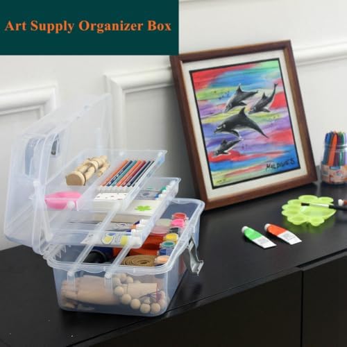Clear Plastic Storage Organizer with 2-Tier Tray, Handle, Latch