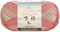 5Ply 60% Cotton 40% Acrylic Yarn 100g/219yds - 501#Matisse
