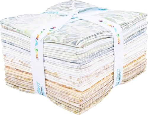 Expressions Batiks Porcelains 20 Fat Quarters Riley Blake Designs