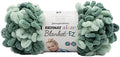 Yarn Alize BLANKT-EZ Hedge GRN