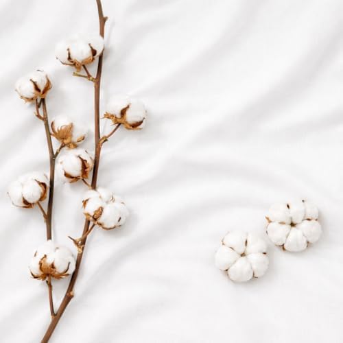 100% Cotton Fabric 5 Yards 59 Inch Width Natural Color