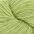 Plymouth Yarn Select DK Merino Superwash - #1148 Lime Heather