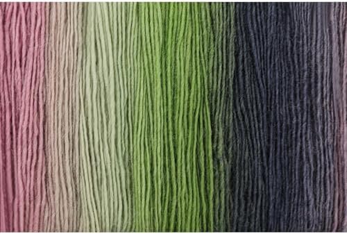 NICEEC NICEEC 2 Skeins 100% Wool Rainbow Yarn 180m x2