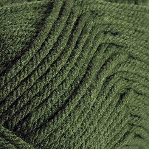 Knit Picks Brava Green 100% Acrylic Bulky Weight Soft Yarn for