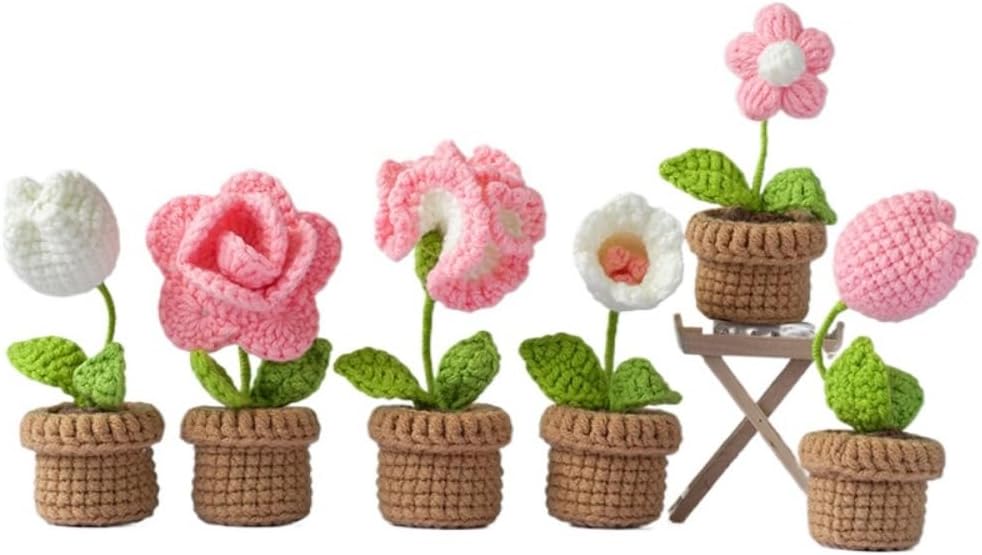 YYKSYDPT 6 PCS Flower Pot Plant Crochet Kit Crochet Kit for Beginners