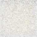 Czech Glass Seed Beads 8/0 (2.9mm Diameter) Transparent Iris Crystal