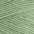 Stylecraft Special DK Yarn - Lincoln (1834)...