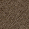 United by Queensland Collection #05 Clove Brown
