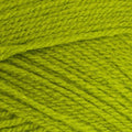 Stylecraft Special DK Yarn - Apple (1852)