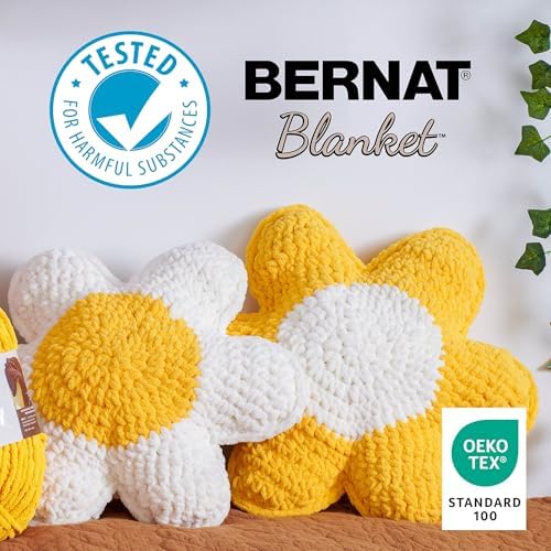 Bernat Blanket Yarn Super Bulky Soft Chenille Yarn Clary Sage 2-Pack