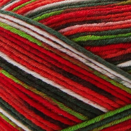 Premier Yarns Fruits Yarn, Acrylic Sock Weight Yarn for Crocheting and