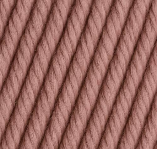 Big Twist Value Yarn Blush 2-Pack Bundle-Wine and Light Rose, 100%