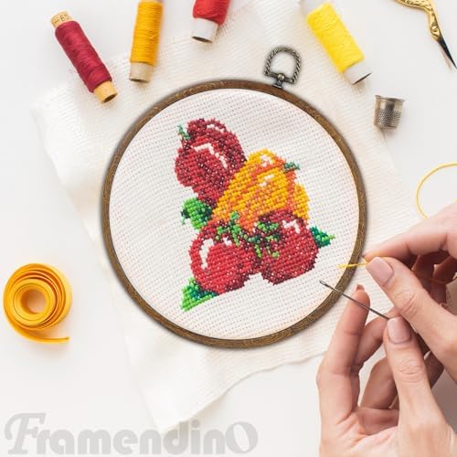 Framendino, 4 Pack Round Embroidery Hoops 8 Inch Imitated Wood Display