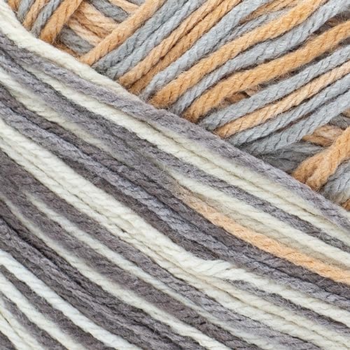 Lion Brand Yarn Bundle of Love Yarn, Sweater Weather (Pack of 2)
