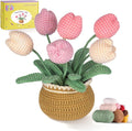 LUDOTEK Crochet Kit for Beginners, Crochet Plant Kit,Knitting Kit