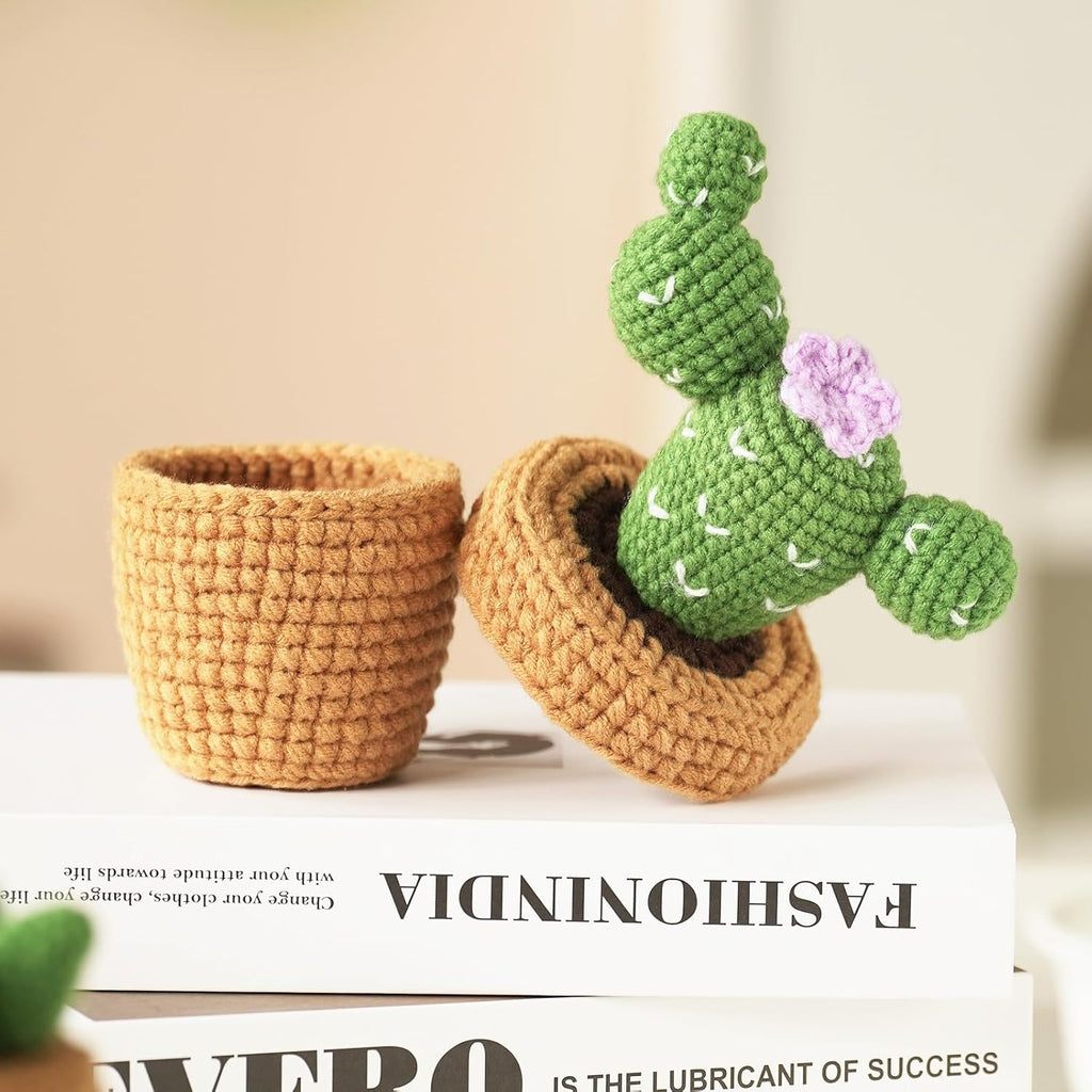 Dasonwin Crochet Kit for Beginners,Crochet Cactus with Step-by-Step