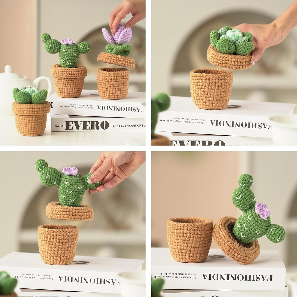 Dasonwin Crochet Kit for Beginners,Crochet Cactus with Step-by-Step