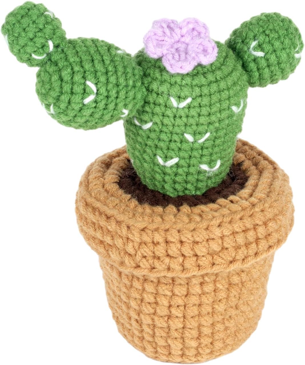 Dasonwin Crochet Kit for Beginners,Crochet Cactus with Step-by-Step