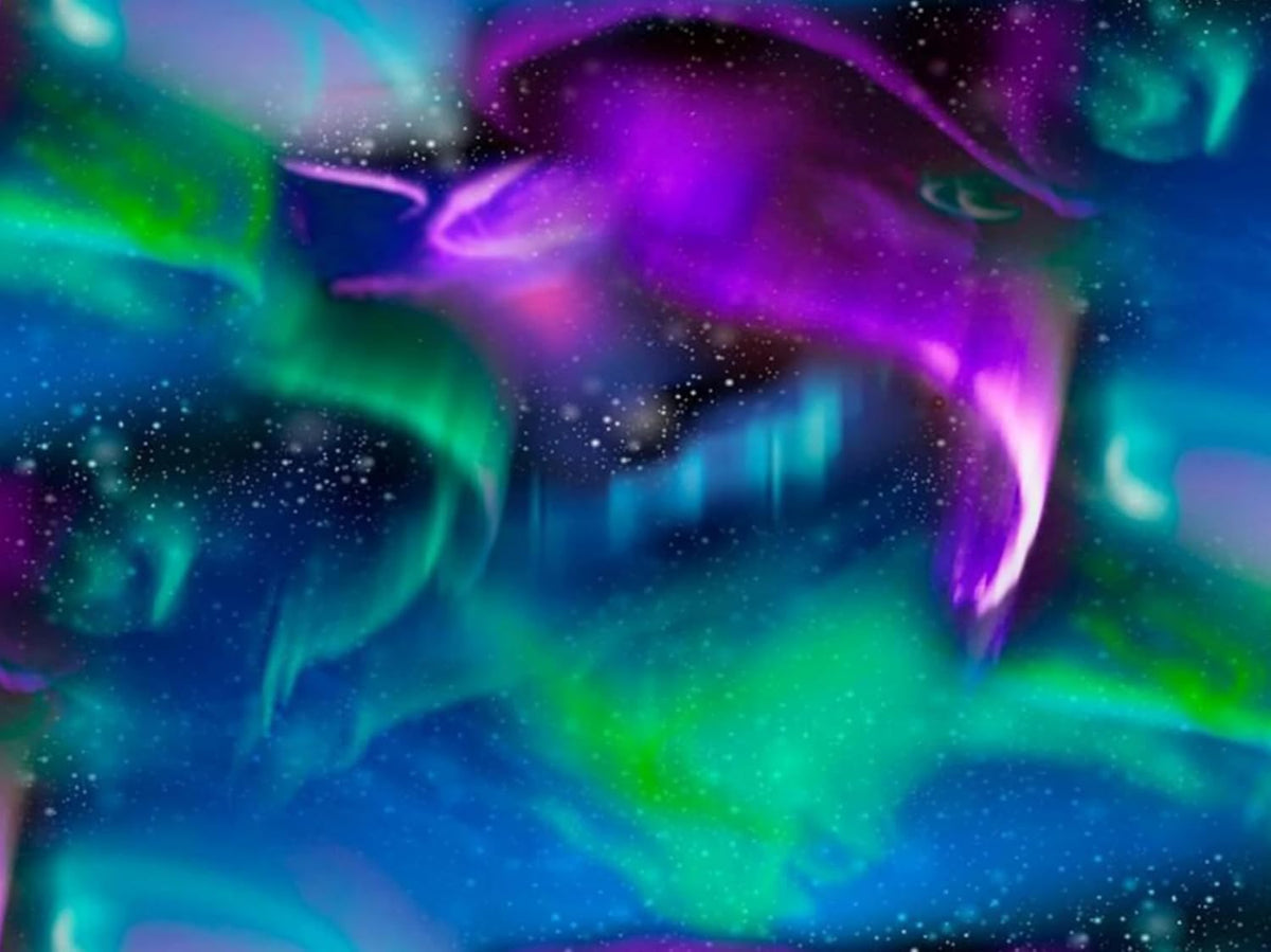 Timeless Treasures Fabric Multi Northern Lights 108in Wide Back