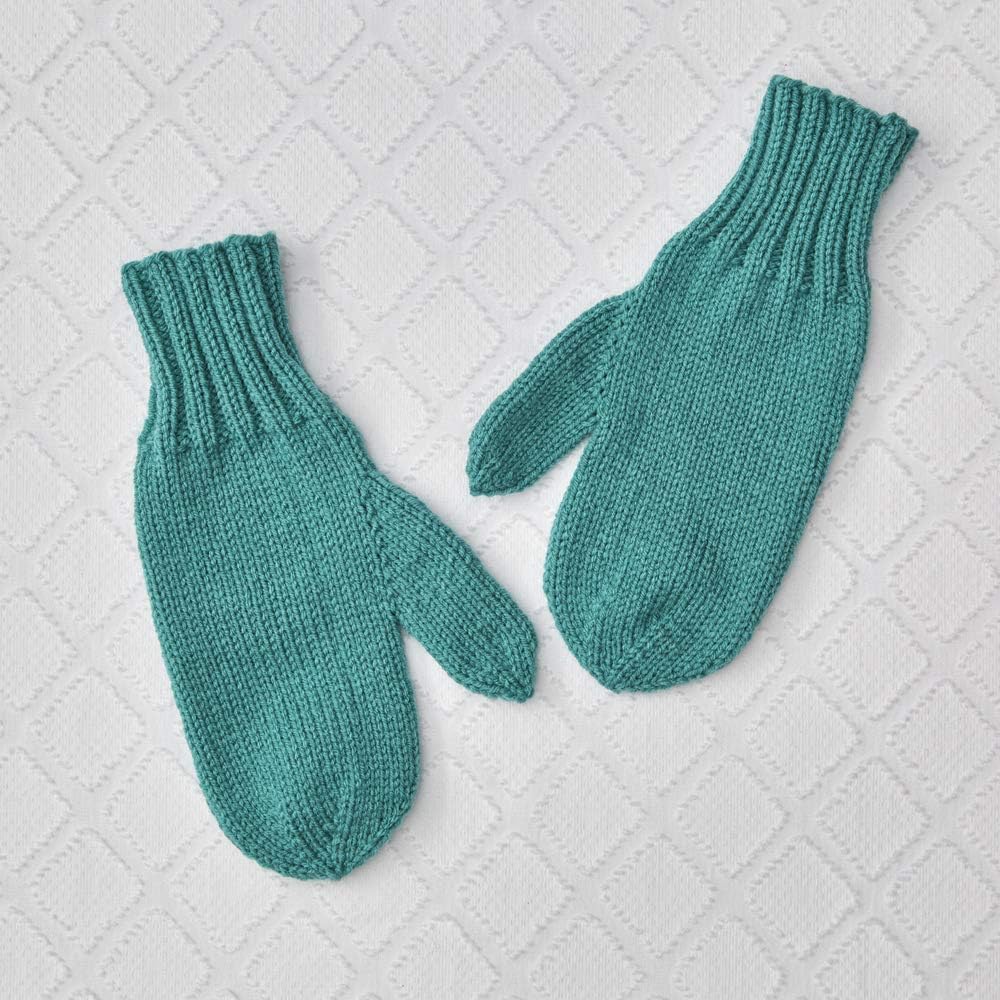 RED Heart 385953 Super Saver Yarn, Jade