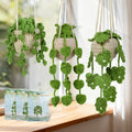kdafio 3 Pcs Crochet Plants Kit Hanging Plants Crochet Kit for