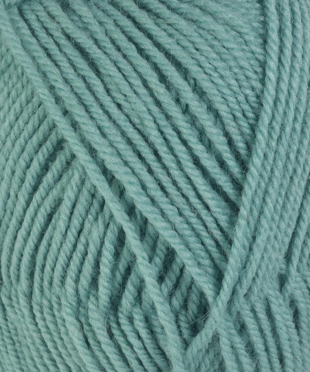 Plymouth Encore Worsted 459 Lagoon