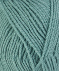 Plymouth Encore Worsted 459 Lagoon